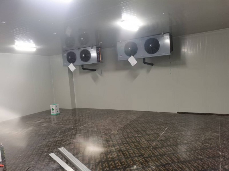 微信圖片_20250805101724