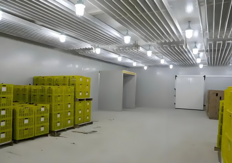 98cee5f9-831a-4c21-9fe4-f257bd37b63f